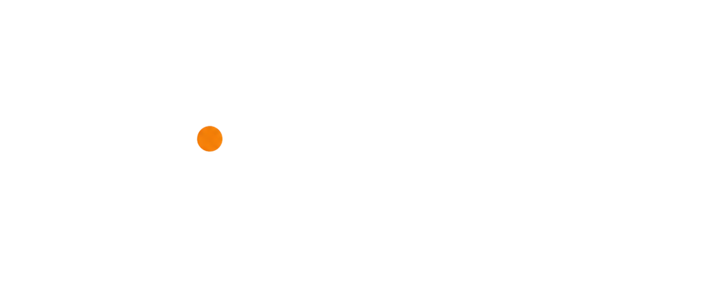 Dutch Development Economics Network